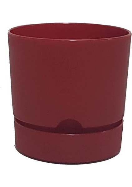 5'li Set Begonya Saksısı 12 cm Tabaklı Saksı 1 Lt