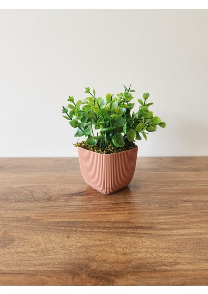Mini Saksıda Yapay Bitki Şimşir Gerçek Taş Yosunlu Toplam 16 cm Dekoratif Banyo Mutfak Masa Çiçeği modelleri