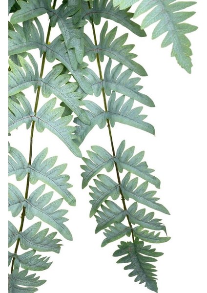 Yapay Çiçek Pastel Cycas Aşk Merdiveni 80CM Eğrelti Otu Sıkas Bitkisi 12 Yaprak 40*80CM Yapay Bitki