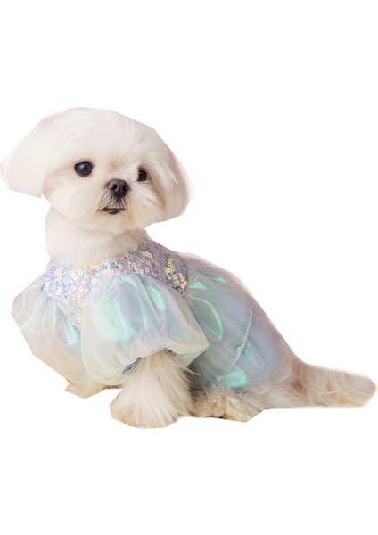 Evcil Hayvan Kıyafeti (Yurt Dışından)