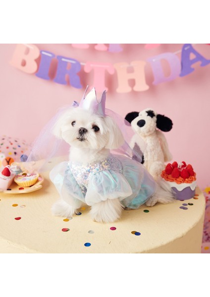 Evcil Hayvan Kıyafeti (Yurt Dışından) fiyatları