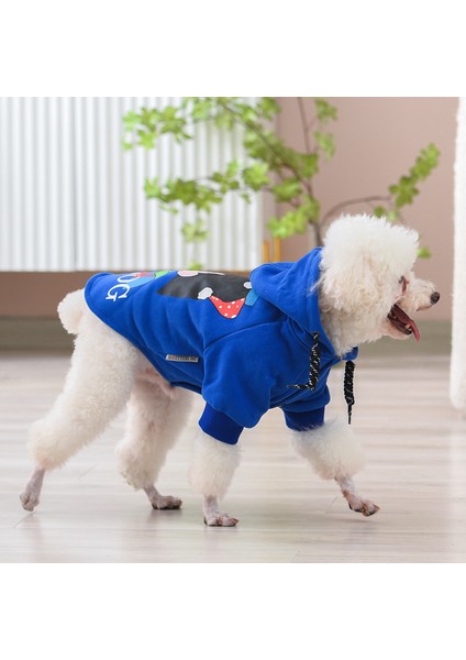 Evcil Hayvan Kıyafeti (Yurt Dışından)