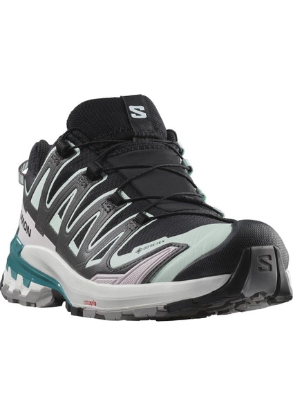 Xa Pro 3D V9 Gore-Tex W Kadın Koşu Ayakkabısı L47119100 fiyatları