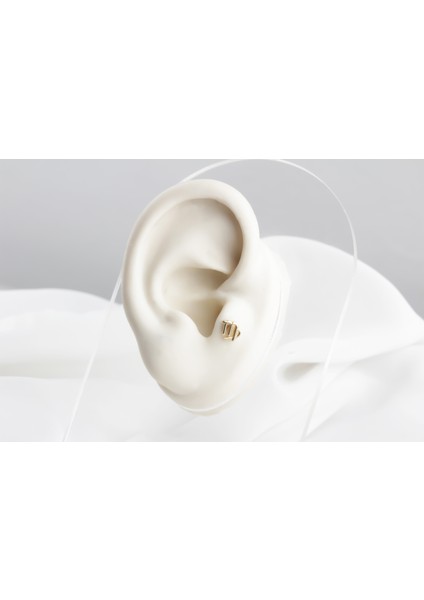 Altın Başak Burcu Tragus Piercing