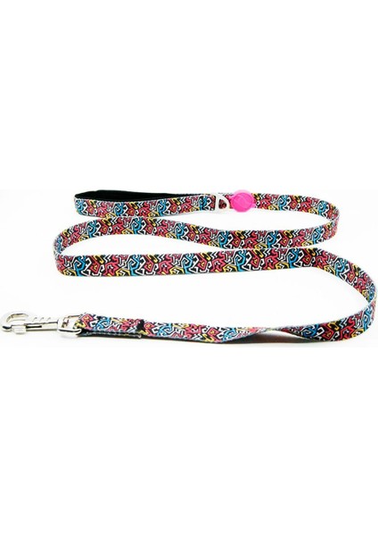 Tailpetz Graffiti Leash Köpek Sevk Kayışı Medium 2X140 cm