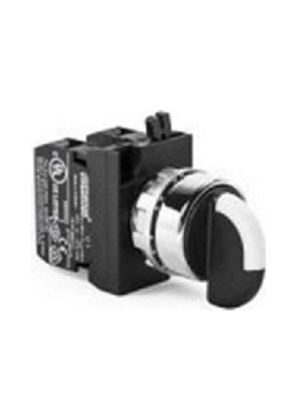 1-0-2 Kalıcı Yeşil Lambalı Mandal Anahtar CM101S30