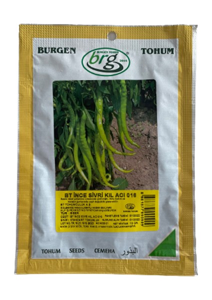 Biber (Ince Sivri Kıl Acı)