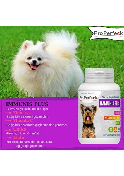 Yavru ve Yetişkin Köpekler Için Immunıs Plus Ekinezya Vitamin C Çinko Lizin 100 Tablet