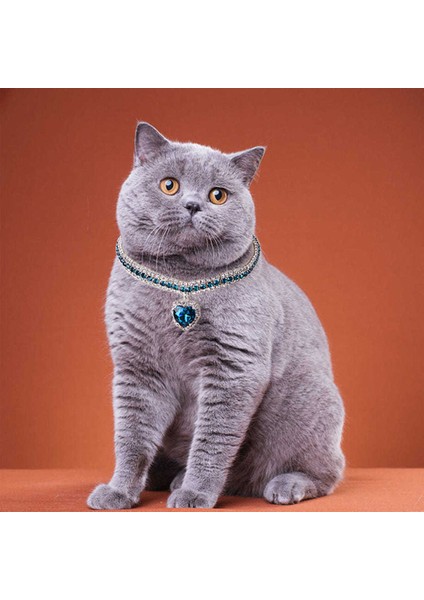 Lüks Kristal Kedi Köpek Yaka Tasması Kolyesi Hayvan Aksesuarları fiyatları
