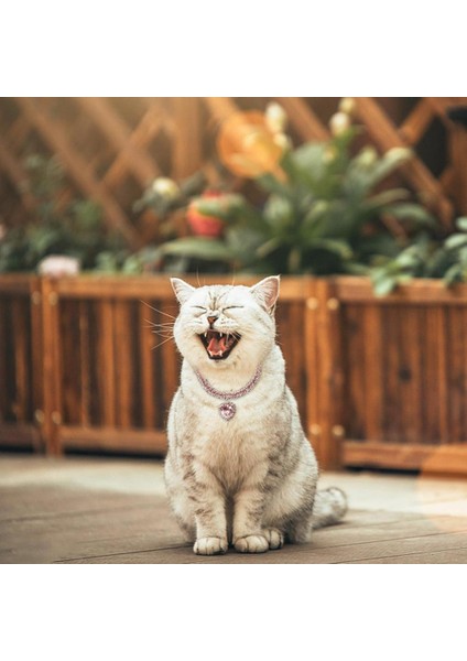 Lüks Kristal Kedi Köpek Yaka Tasması Kolyesi Hayvan Aksesuarları modelleri