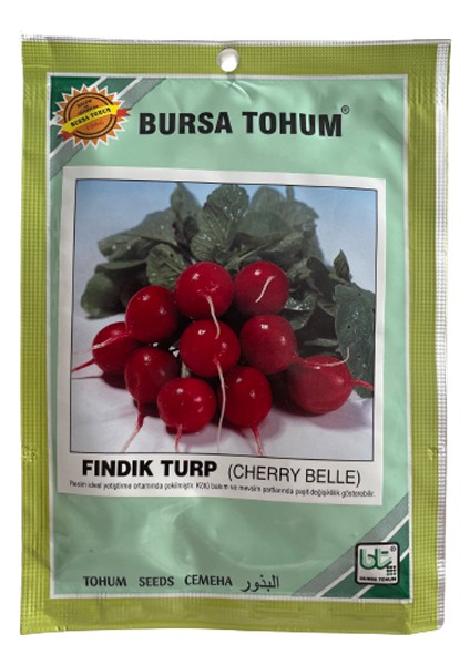 Bursa Tohum Fındık Turp