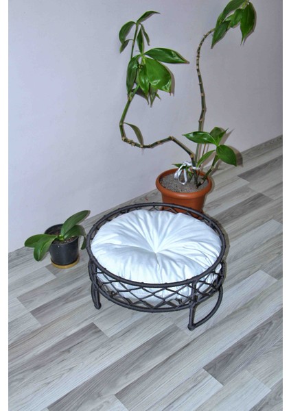 Kedi Köpek Yatağı El Işçiliği fiyatları