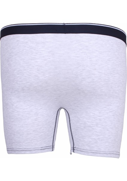 Erkek Büyük Beden Likralı Uzun Paça Boxer 11906-218 modelleri