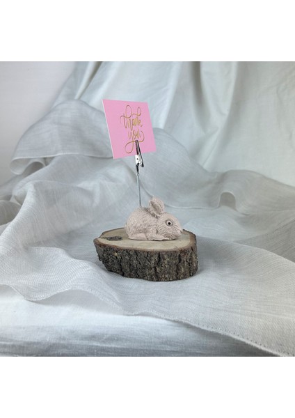 Krem Tavşan Not Tutucu, Fotoğraf Tutucu modelleri