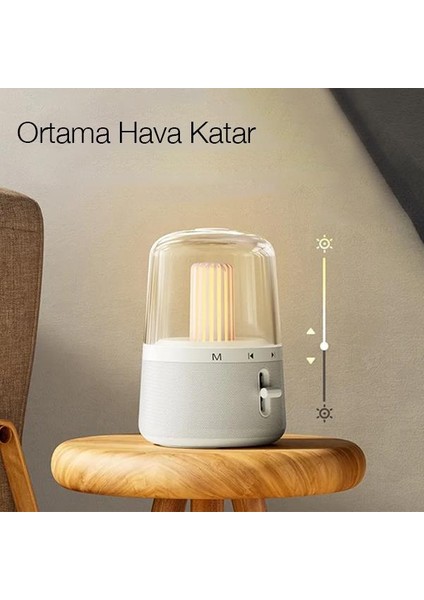 2in1 Masaüstü Bluetooth Hoparlör ve Ayarlanabilir Gece Lambası Dokunmatik Kamp Lambası Hoparlör modelleri