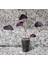 Oksalis Alacalı Uyku Çiçeği, Kelebek Çiçeği, Süs Yoncası, Mor Oxalis Triangularis, Pembe Çiçekli Canlı Bitki 4