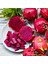 Ejder Meyvesi, Dragon Fruit, Pitaya, 1 Kg, 3-4 Adet, Içi Kırmızı-Mor Tropikal Meyve 2