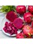 Ejder Meyvesi, 1 kg Karışık, Kırmızı-Beyaz Tropikal Meyve, Pitaya 3