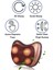 4 Toplu Ovmalı Masaj Yastığı Ayak Bel Boyun Sırt Vücut Omuz Aleti 1