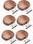 Gitar Ayarlama Anahtar Kafa 5 Pcs (Yurt Dışından) 5