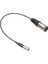 Pin Erkek - 3 Pin Erkek Xlr Mini Fiş Ses Kablosu Mikrofon Kablosu (Yurt Dışından) 1