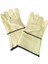 Kevlar Eldiven 1