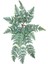 Yapay Çiçek Pastel Cycas Aşk Merdiveni 80CM Eğrelti Otu Sıkas Bitkisi 12 Yaprak 40*80CM Yapay Bitki 1