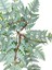 Yapay Çiçek Pastel Cycas Aşk Merdiveni 80CM Eğrelti Otu Sıkas Bitkisi 12 Yaprak 40*80CM Yapay Bitki 2