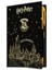 Harry Potter Lisanslı Gold Defter 2