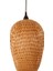 Bambu Avize 1