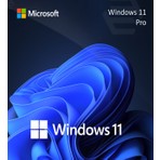 Microsoft Windows 11 Pro Dijital Lisans Anahtarı Ömür Boyu Kullanım 64 Bit