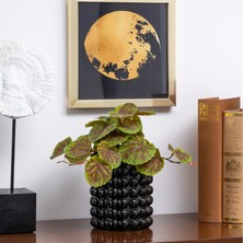 Karaca Home Rocco Dekoratif Vazo Siyah