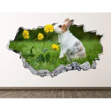 Kt Grup Sevimli Tavşan Full Hd Baskı 3D Modern Duvar Sticker