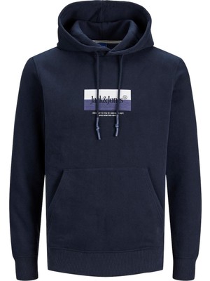 Jack & Jones Jordalston Brandıng Sweat Hood