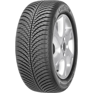 195/55 R16 87H Vector 4Seasons G2 Oto 4 Mevsim Lastiği ( Üretim Yılı: 2023 )