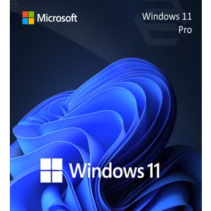 Windows 11 Pro Dijital Lisans Anahtarı
