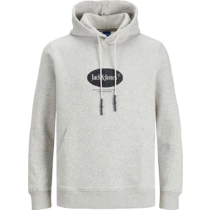 Jack & Jones Jordalston Brandıng Sweat Hood