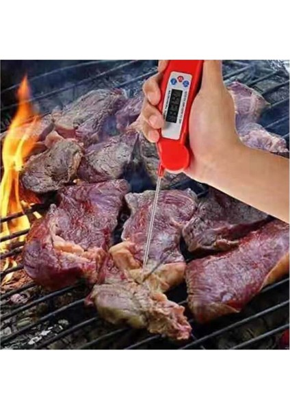 Mutfak Barbekü Izgara Katlanır Termometre Pişmiş Gıda Hızlı Sıcaklık Probu Elektrikli Dijital Ekran Su Termometresi (Yurt Dışından)