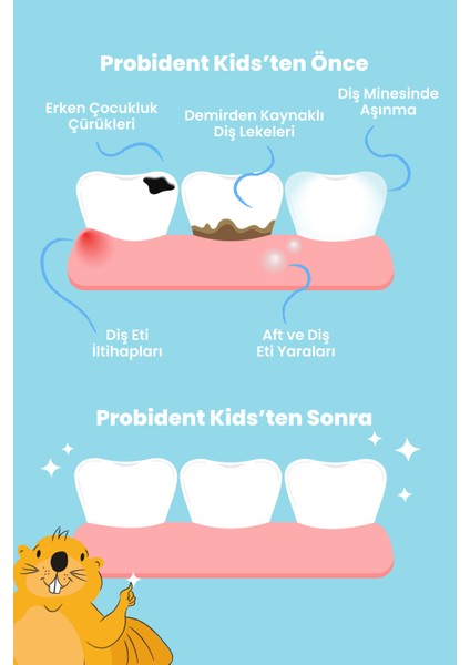 Aktif Probiyotikli Üzüm Çekirdeği Özüt İlaveli Doğal Elma Aromalı Kids Tanışma Paketi