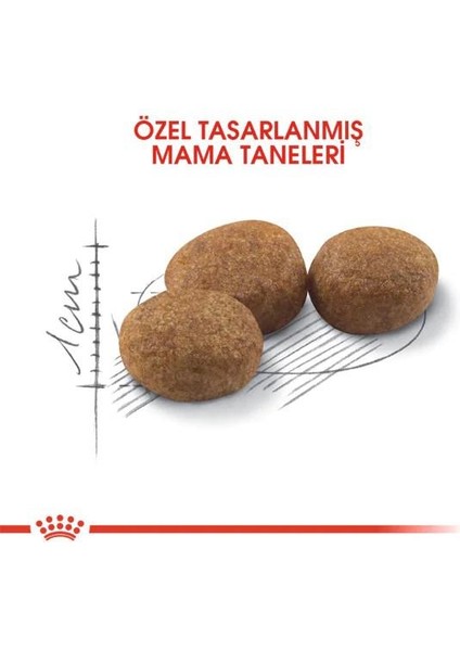 Royal Canin Sterilised 37 Kısırlaştırılmış Kedi Maması 10 kg modelleri