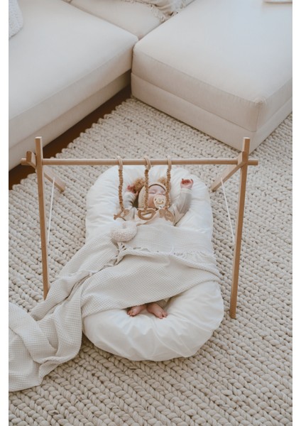 Babynest (Bebek Yatağı + Kılıf) Anne Yanı Bebek Yatağı fırsatları