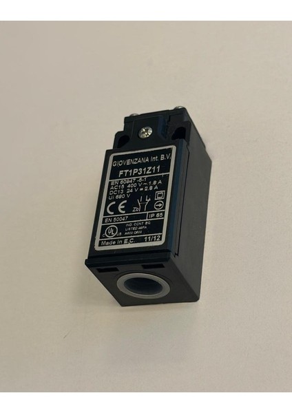 FT1P31Z11 Limit Switch