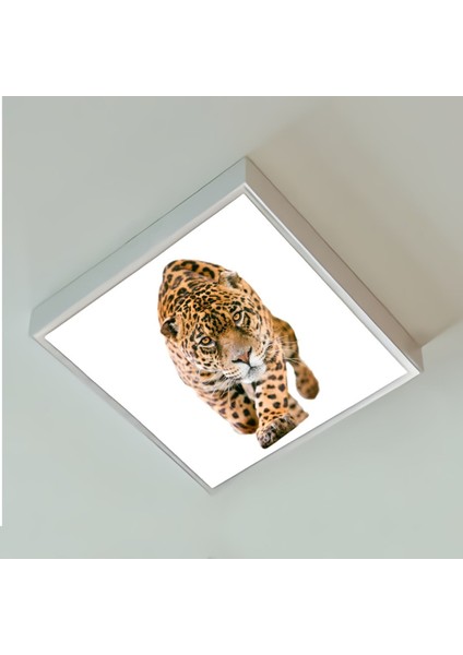 Leopar Desenli 60X60 Çocuk Odası Avize Modelleri, 54WAT Led, Tavana Model Avize, Baskılı Çocuklar Için Kare Avize fiyatları