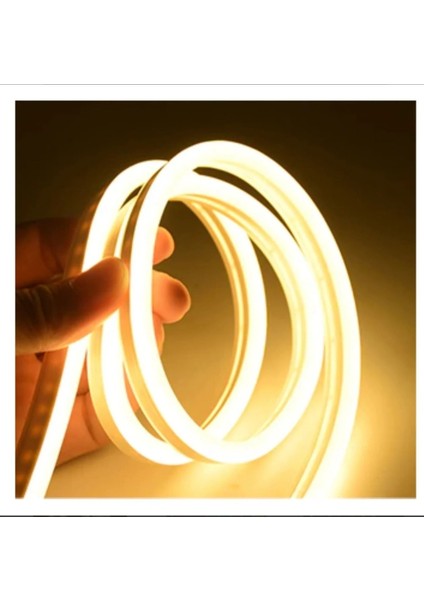 12 Volt Neon LED Günışığı (5 Metre)