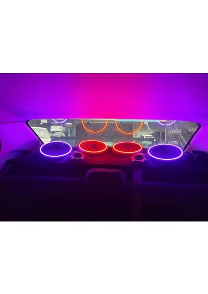 12 Volt Neon LED Günışığı (5 Metre)