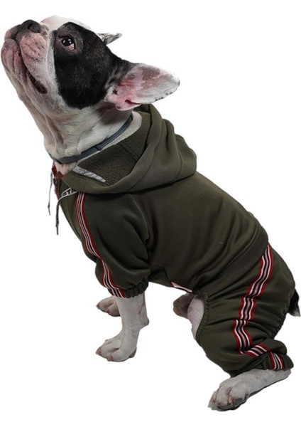 Haki Tuta Küçük Irk Köpek Tulumu