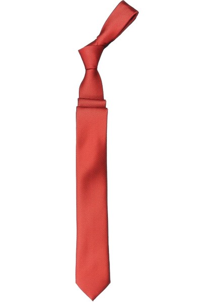 Armürlü Mikrofiber Erkek Kravat Aksesuar fiyatları