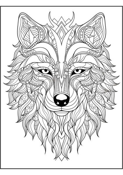 Hayvanlar Mandala Kitap Seti (4 Kitap)