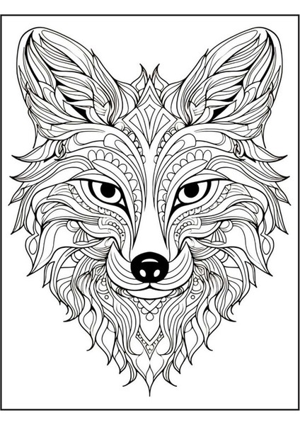 Hayvanlar Mandala Kitap Seti (4 Kitap)