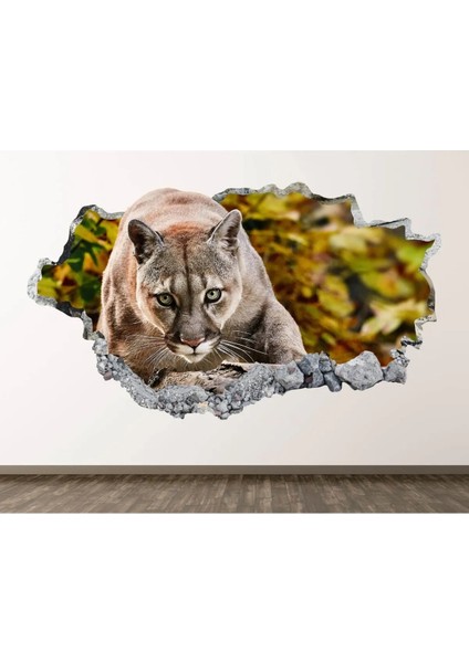 Vahşi Puma Full Hd Baskı 3D Modern Duvar Sticker